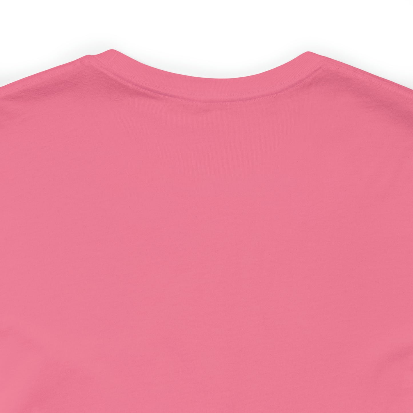 Pregnant Women, Baby, Newborn, Funny, T Shirt, Pink